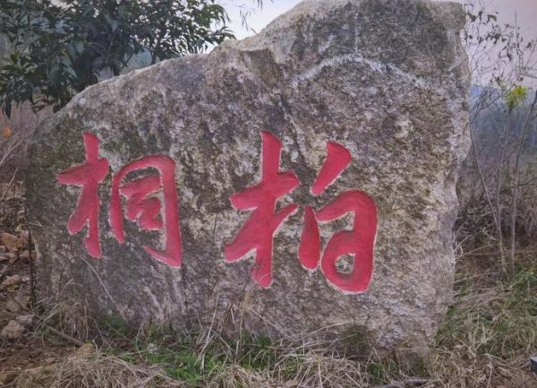 非物质文化遗产桐柏（桐柏县非遗项目有哪些？）-第3张图片-八三百科