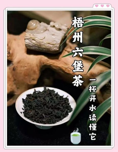 梧州国家非物质文化遗产（梧州六堡茶制作技艺全解析）-第2张图片-八三百科