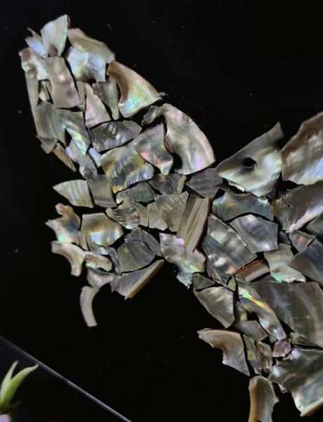 非物质文化遗产蚌壳（蚌壳雕刻非遗教程：新手入门全攻略）-第3张图片-八三百科