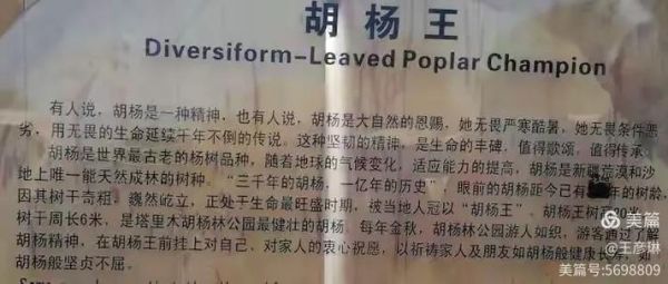 咸阳气候变迁历史简介（咸阳近三千年气候变迁简介）-第3张图片-八三百科