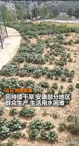 陕西的历史气候变迁（陕西历史上有几次极端干旱）-第2张图片-八三百科