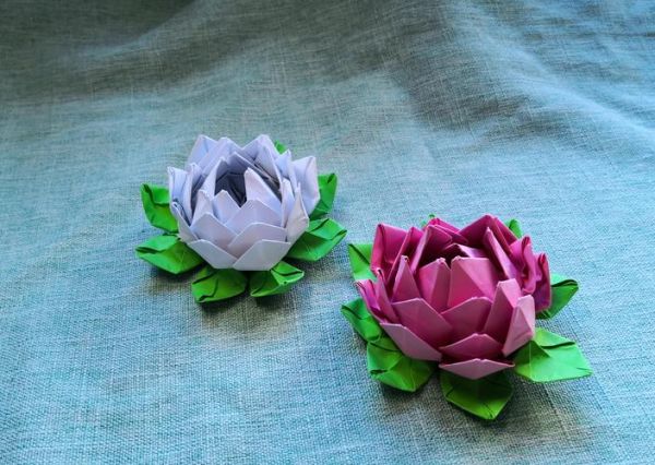 苏州非物质文化遗产折纸（苏州折纸列入非遗了吗）-第1张图片-八三百科