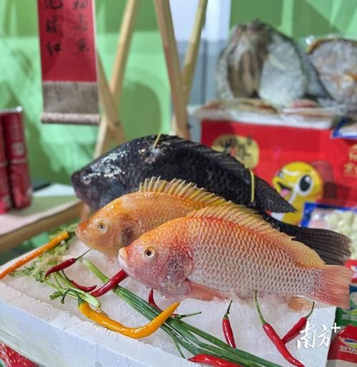 中国非物质文化遗产鱼（最受欢迎的非遗鱼技艺有哪些？）-第2张图片-八三百科