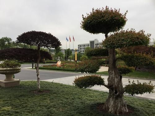 旌德县历史气候变迁情况（旌德县近百年气候变迁完整图解）-第1张图片-八三百科