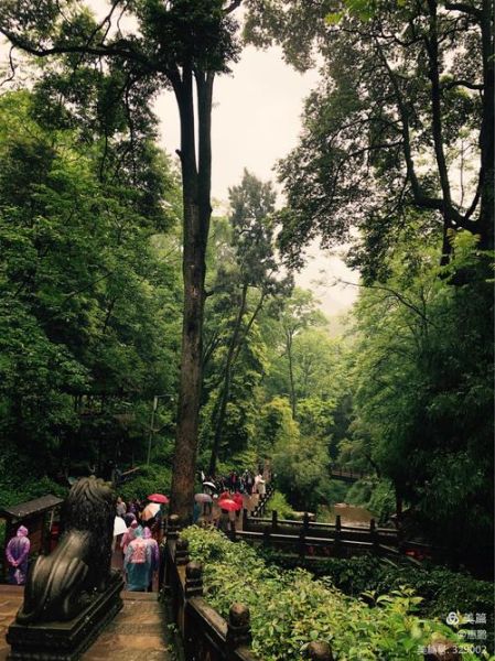 青城山气候变迁历史记录（青城山近二十年气候变化记录）-第3张图片-八三百科