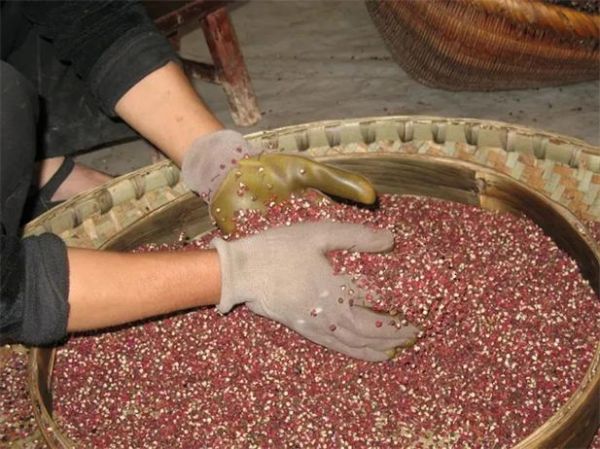 花椒非物质文化遗产（花椒制作技艺非遗在哪里）-第1张图片-八三百科