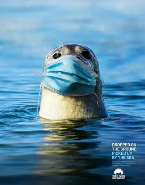 保护海洋非物质文化遗产（保护海洋非物质文化遗产具体措施）-第3张图片-八三百科