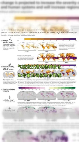 气候变迁对历史进程（气候变迁如何改变中国王朝兴衰）-第3张图片-八三百科