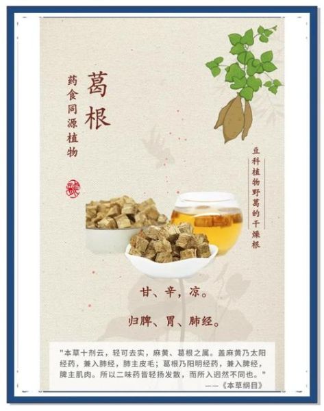 葛根非物质文化遗产(葛根炮制工艺非遗如何学习)-第1张图片-八三百科 葛根非物质文化遗产(葛根炮制工艺非遗如何学习)-第1张图片-八三百科