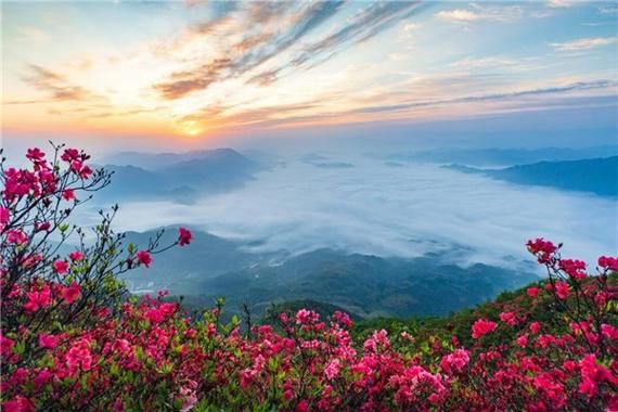 旌德县历史气候变迁（旌德县近百年气候变迁完整记录）-第3张图片-八三百科