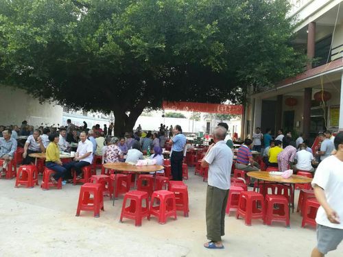 昌化镇历史气候变迁（昌化镇近百年气候变迁真相）-第3张图片-八三百科