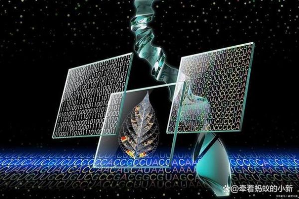 室温超导与量子计算（室温超导最新进展2024实用科普）-第1张图片-八三百科