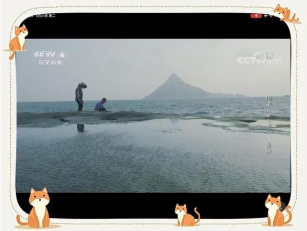 云南气候变迁历史记录片（云南气候变化纪录片）-第1张图片-八三百科