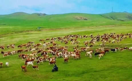 非物质文化遗产走敖特尔（非遗走敖特尔具体做法）-第2张图片-八三百科