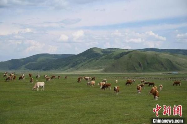 非物质文化遗产走敖特尔（非遗走敖特尔具体做法）-第3张图片-八三百科