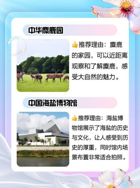 盐城非物质文化遗产目录（盐城非遗有哪些项目值得打卡？）-第2张图片-八三百科