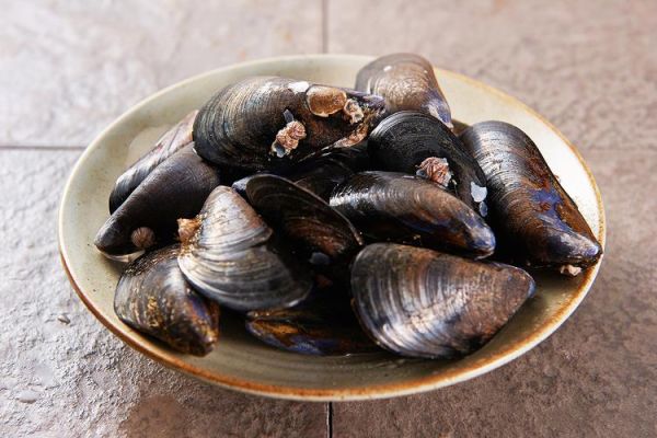 非物质文化遗产贻贝（非物质文化遗产贻贝是什么）-第2张图片-八三百科