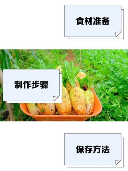 非物质文化遗产萝（非遗萝制作技艺初学者问答）-第1张图片-八三百科