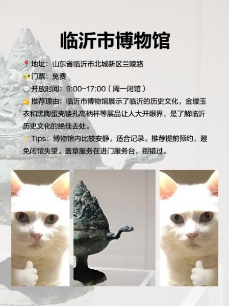 简述临沂非物质文化遗产（临沂非物质文化遗产名录及特色概览）-第2张图片-八三百科