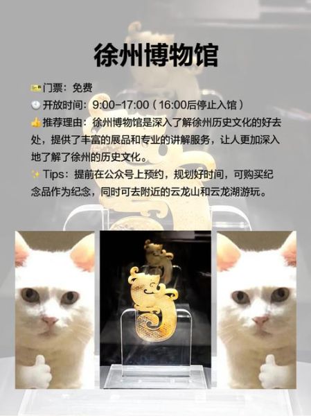 徐州非物质文化遗产名录（徐州非物质文化遗产名录有哪些新手必看项目）-第3张图片-八三百科
