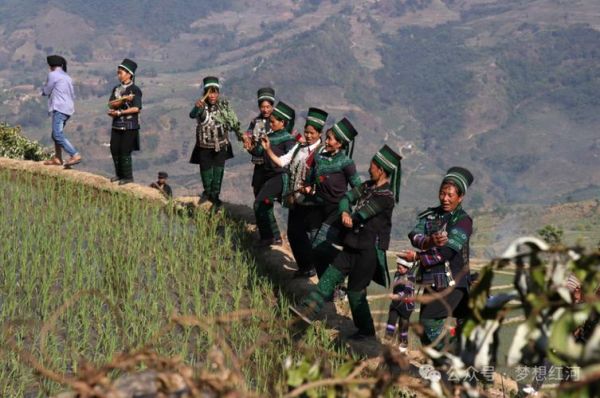 哈尼族非物质文化遗产（哈尼族非遗项目有哪些）-第2张图片-八三百科