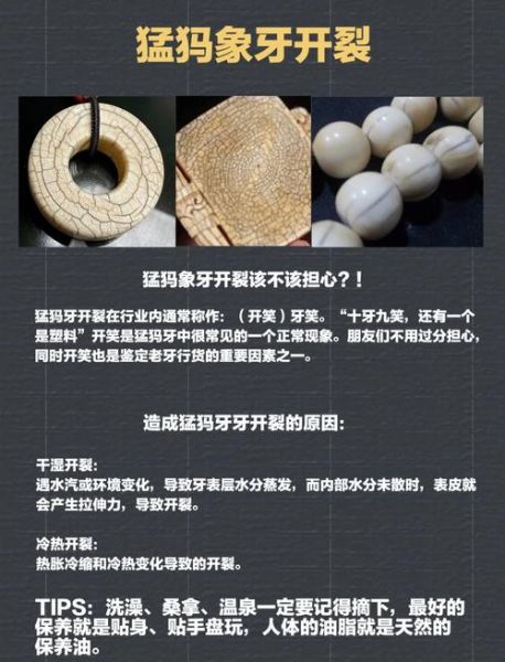 猛犸非物质文化遗产(猛犸牙雕非遗教程:零基础也能看懂)-第1张图片-八三百科 猛犸非物质文化遗产(猛犸牙雕非遗教程:零基础也能看懂)-第1张图片-八三百科