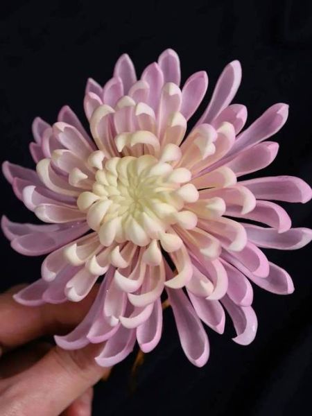 花儿非物质文化遗产(花儿非遗保护传承现状最新)-第1张图片-八三百科 花儿非物质文化遗产(花儿非遗保护传承现状最新)-第1张图片-八三百科