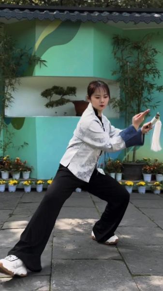 安阳非物质文化遗产武术(安阳非遗武术有哪几种流派)-第3张图片-八三百科 安阳非物质文化遗产武术(安阳非遗武术有哪几种流派)-第3张图片-八三百科