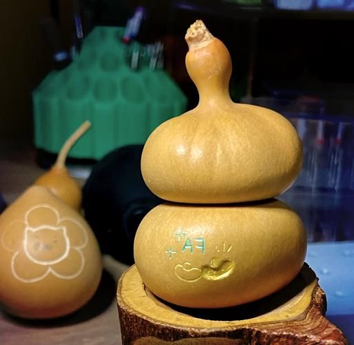 非物质文化遗产雕葫芦（什么是雕葫芦？手把手看懂非遗葫芦雕刻技巧）-第2张图片-八三百科