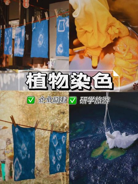 非物质文化遗产植物染色(植物染色非遗怎么入门最靠谱)-第3张图片-八三百科 非物质文化遗产植物染色(植物染色非遗怎么入门最靠谱)-第3张图片-八三百科