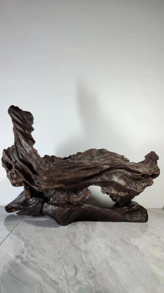 非物质文化遗产乌木（乌木是什么木头）-第1张图片-八三百科