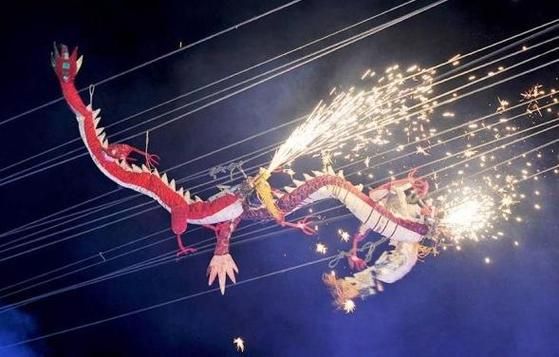 世界非物质文化遗产龙被（世界非遗龙被如何识别真品）-第3张图片-八三百科