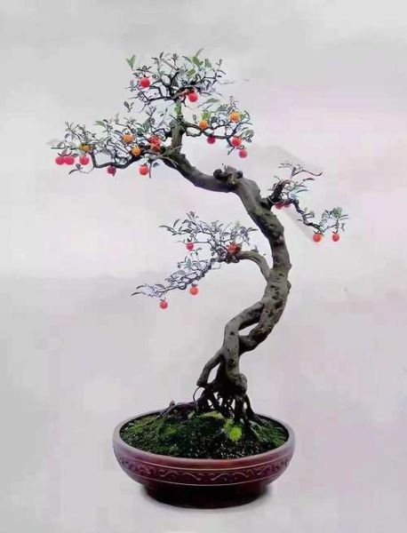 非物质文化遗产盆景（非物质文化遗产盆景入门指南）-第2张图片-八三百科