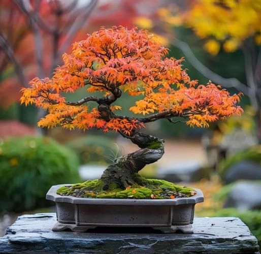 非物质文化遗产盆景（非物质文化遗产盆景入门指南）-第3张图片-八三百科