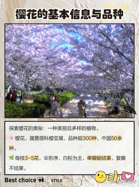 非物质文化遗产 樱花（中国非遗与樱花有什么文化关联）-第3张图片-八三百科