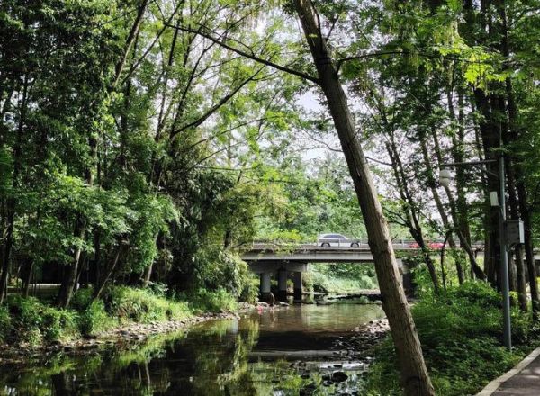 林盘属于非物质文化遗产（林盘属于非物质文化遗产吗？答案在这里）-第3张图片-八三百科