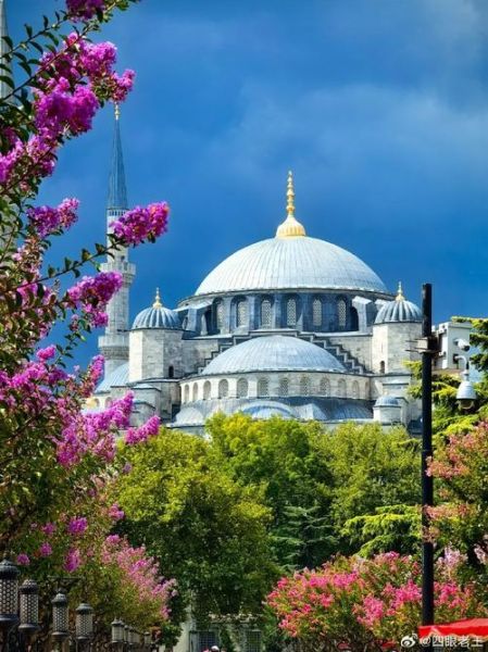 非物质文化遗产 土耳其（土耳其非物质文化遗产有哪些）-第2张图片-八三百科