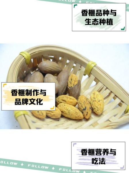 琴溪非物质文化遗产（琴溪香榧非遗制作方法新手完整教程）-第2张图片-八三百科