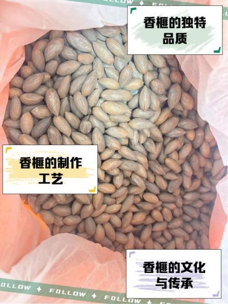 琴溪非物质文化遗产（琴溪香榧非遗制作方法新手完整教程）-第3张图片-八三百科