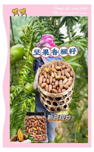 琴溪非物质文化遗产（琴溪香榧非遗制作方法新手完整教程）-第1张图片-八三百科