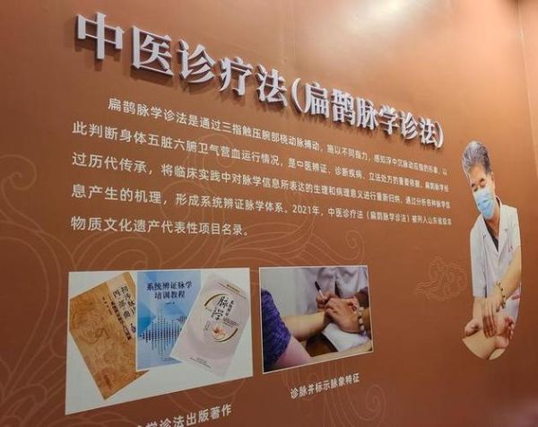 医术非物质文化遗产（医术非物质文化遗产有哪些值得入门了解）-第1张图片-八三百科