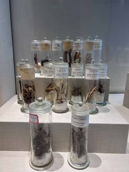 广药非物质文化遗产（广药非遗技艺如何影响现代中药市场）-第2张图片-八三百科