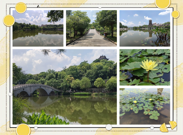 湖滨非物质文化遗产（湖滨非遗旅游打卡点在哪新手必看）-第2张图片-八三百科