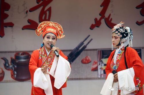 蒙城非物质文化遗产视频（蒙城非遗视频拍摄教程）-第2张图片-八三百科