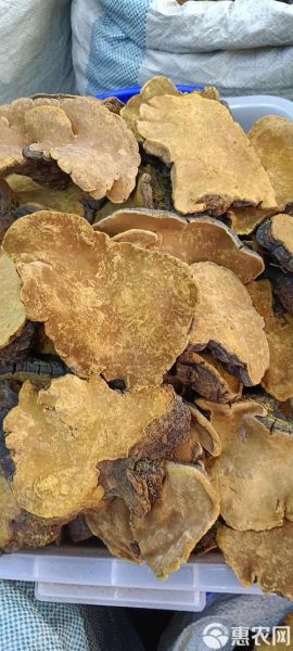 桑田非物质文化遗产（桑田非物质文化遗产有哪些）-第2张图片-八三百科