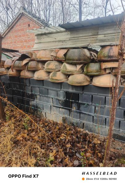 界首非文化物质文化遗产（界首非遗项目有哪些东西值得一看）-第2张图片-八三百科