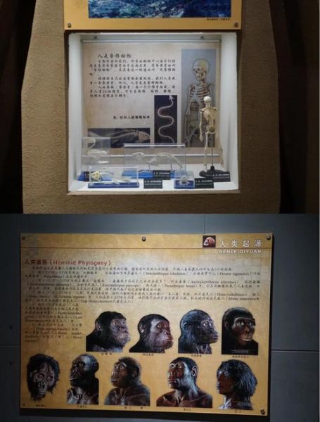 元谋文化非物质文化遗产（元谋非物质文化遗产有哪些新发现）-第3张图片-八三百科