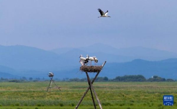 富锦非物质文化遗产（富锦非物质文化遗产有哪些景点可看）-第1张图片-八三百科