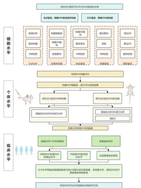 中国量子计算机技术路线（中国量子计算机技术路线怎么选？三大主流方案对比）-第1张图片-八三百科