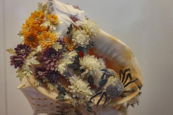 海洋非物质文化遗产（海洋非物质文化遗产有哪些）-第3张图片-八三百科